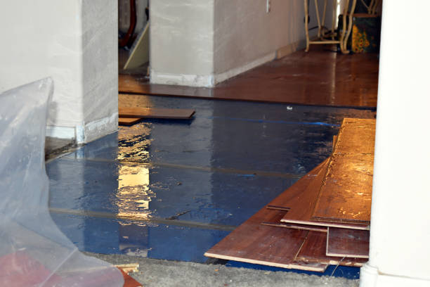 Professional Basement Flood Cleanup technician working in Pembroke, GA